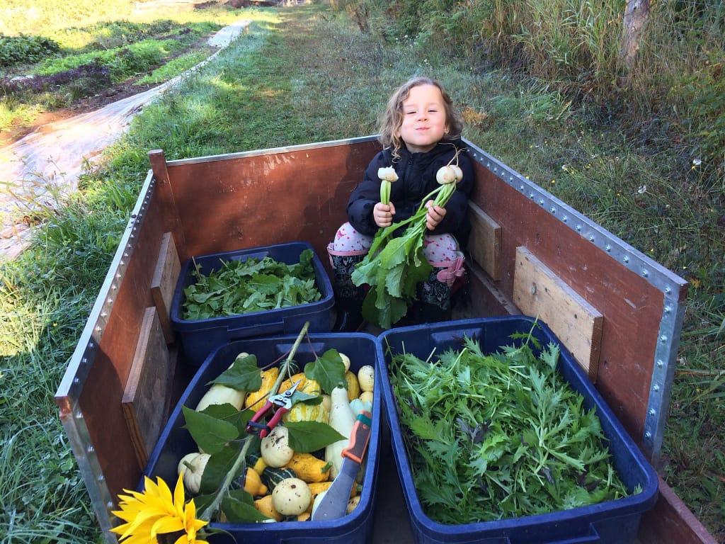 A young girl sits in a wheelbarrow with plastic buckets full of fresh produce.