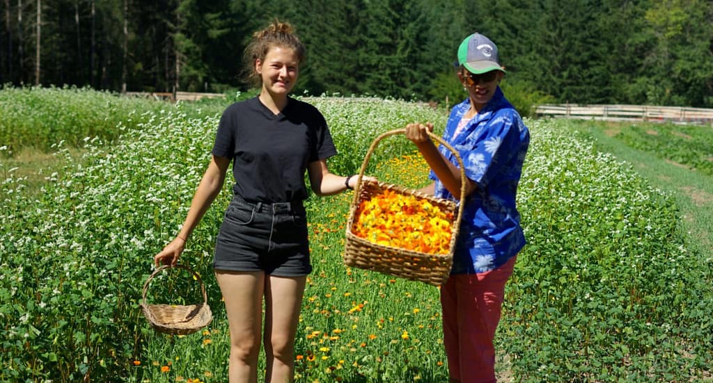 Two young women stand in a field of tall grass and flowers. They are holding baskets full of orange flower petals.