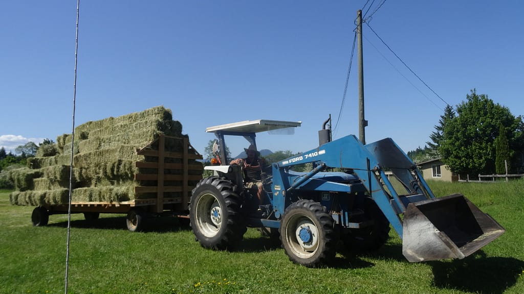 A blue tractor pulls a trailer with a tall stack of hay bales.